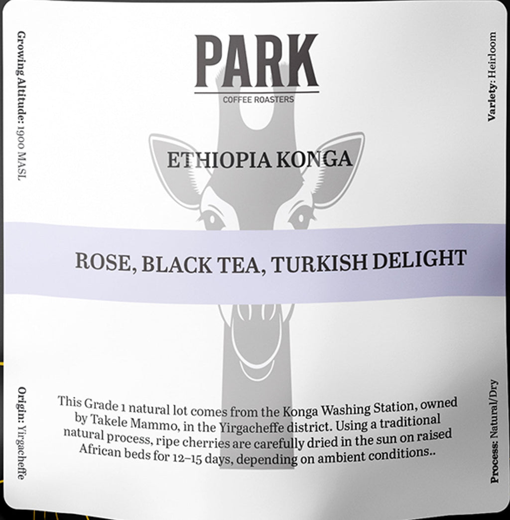Ethiopia Konga