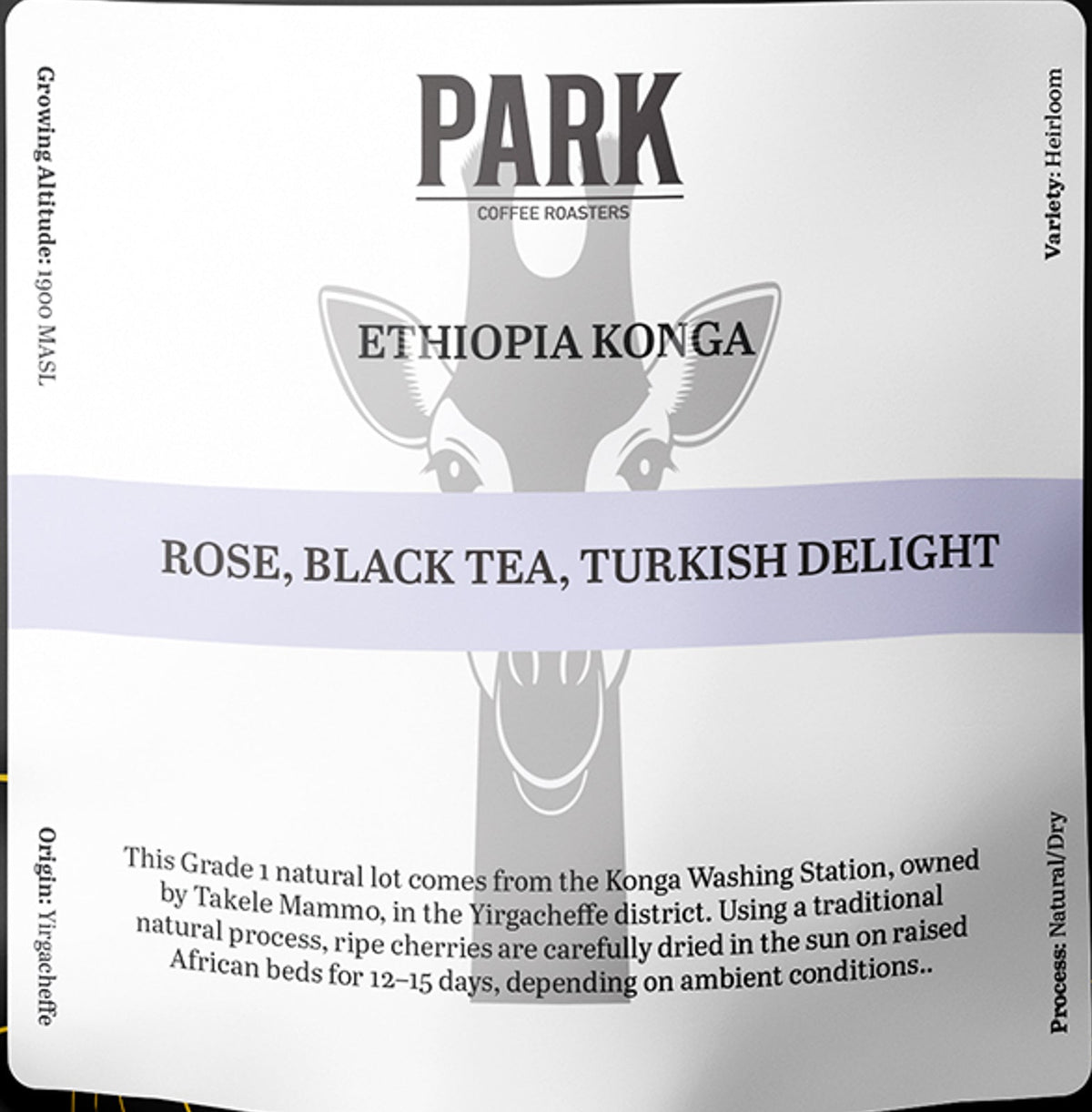 Ethiopia Konga